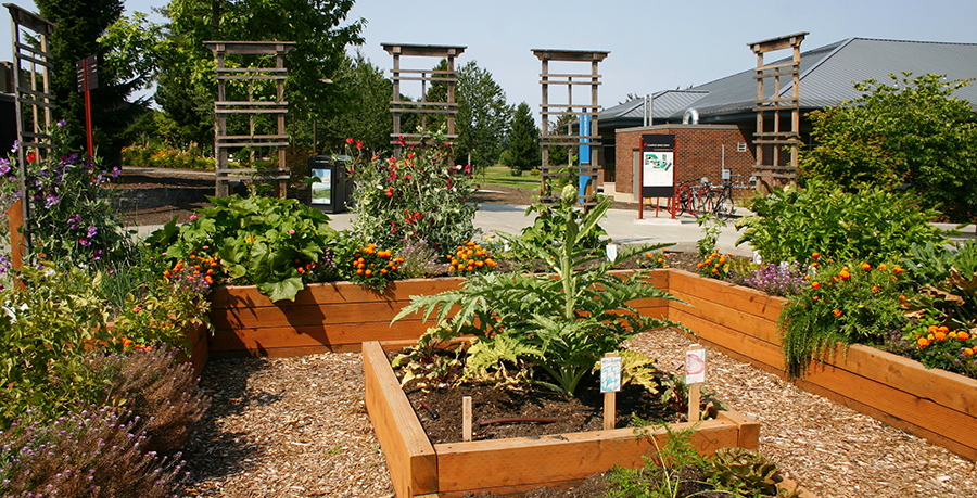 EvCC Garden