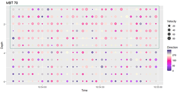 A data visualization shows a matrix of pink and purple dots. The axis are labeled Depth and Time, and the legend on the right side shows Velocity and Direction.