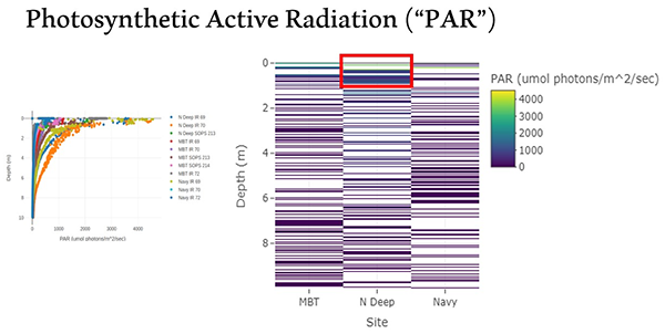 Two graphic visualizations show a dot plot on the left and a series of bars on the left. The headline says Photosynthetic Active Radiation ("PAR")