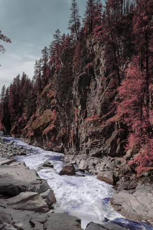 Chris Brunken- color corrected riverscape so the trees appear red.