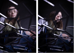 Julia Goodridge- diptych photo of a woman with glasses.