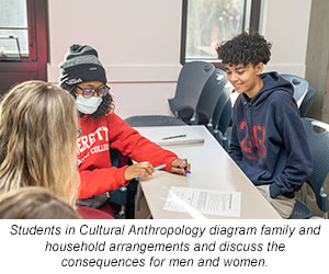 Students in Cultural Anthropology diagram family and household arrangements and discuss the consequences for men and women.
