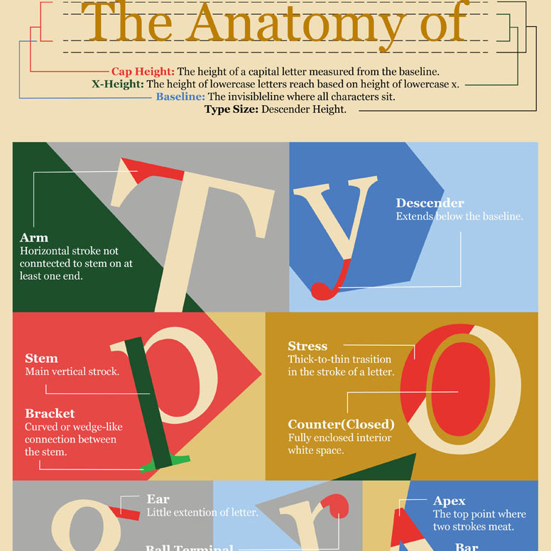Anatomy of Type
